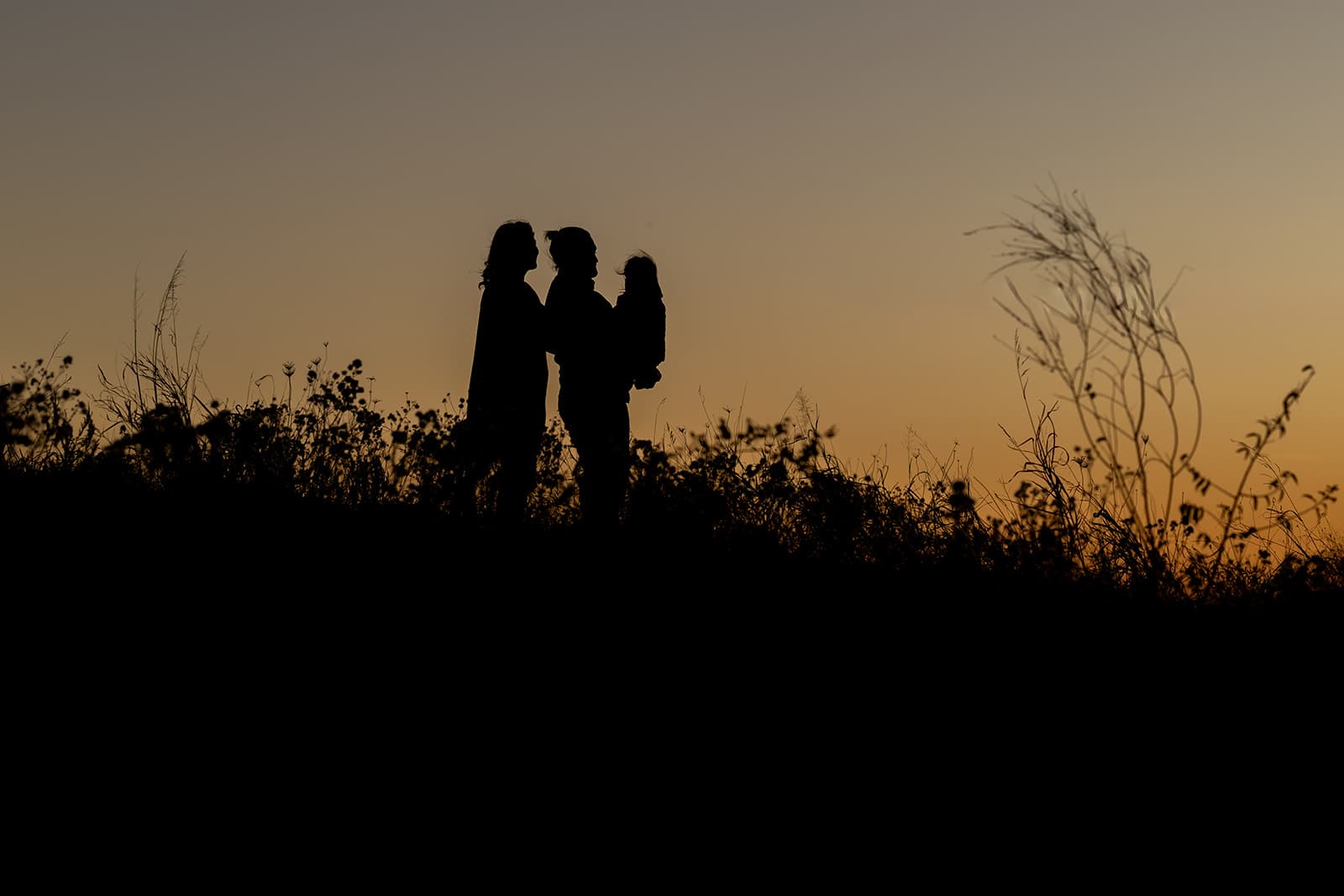 Family portrait photography in McKinney, Texas by Porchlight Studios. Image 12 of 41